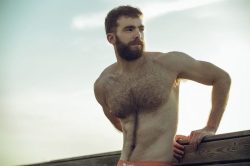 sambrcln: Follow my two hairy men blogs: