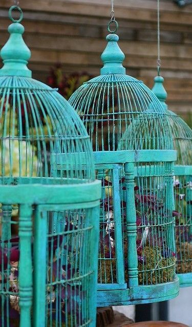 Turquoise birdcages. Prettt, exotic and reminds me of travelling.