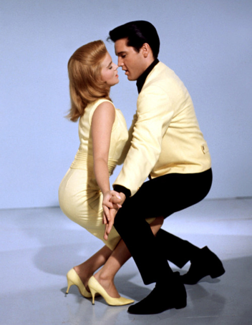 dontpissoffpenelope:Elvis Presley & Ann-Margret1964Viva Las Vegas