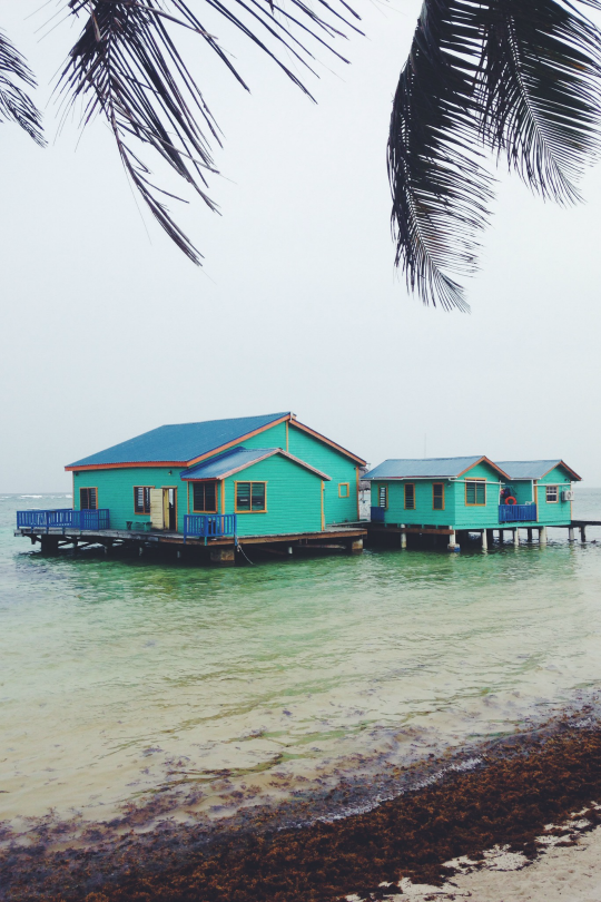 expressions-of-nature:  by Emma Ciulla