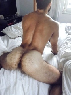 sweatyhairylickable:  http://sweatyhairylickable.tumblr.com for more hairy sweaty dudes!