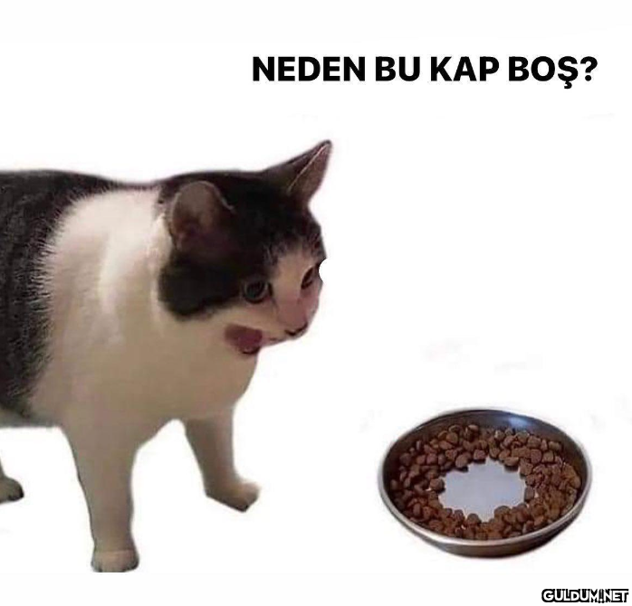 NEDEN BU KAP BOŞ?   Kaynak