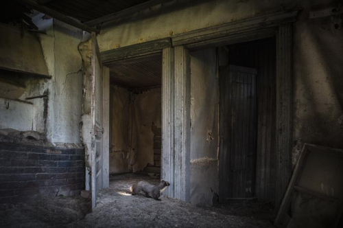 When Kai Fagerstrm Happened Upon An Old Cottage In Rural Suomusjrvi, Finland, Abandoned Decades Ago,