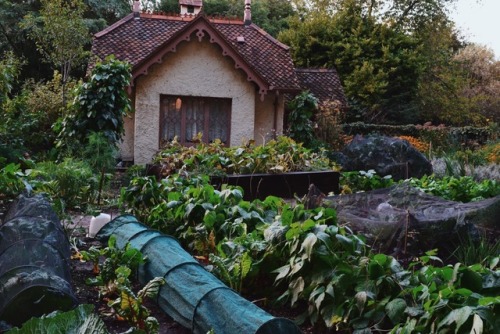 lilcrystalkitty: I felt so at peace as I looked over this little garden in London and watched as the