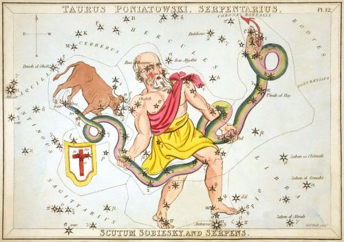blondebrainpower:Taurus Poniatowski, Serpentarius, Scutum Sobiesky, and Serpens, plate 12 in Urania’s Mirror, a set of celestial cards accompanied by A familiar treatise on astronomy … by Jehoshaphat Aspin. London. Astronomical chart. 1 print on