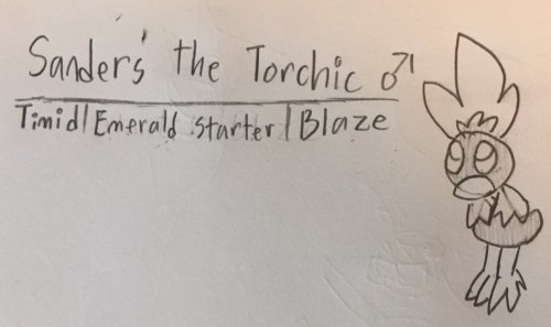 Here It Goes Again:Sanders The TorchicIndex