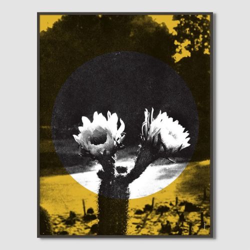 Print designed for Commune x West Elm