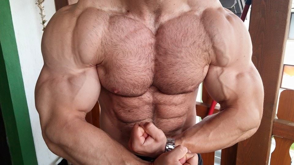 serbian-muscle-men:  Bodybuilder Pero, Croatia 