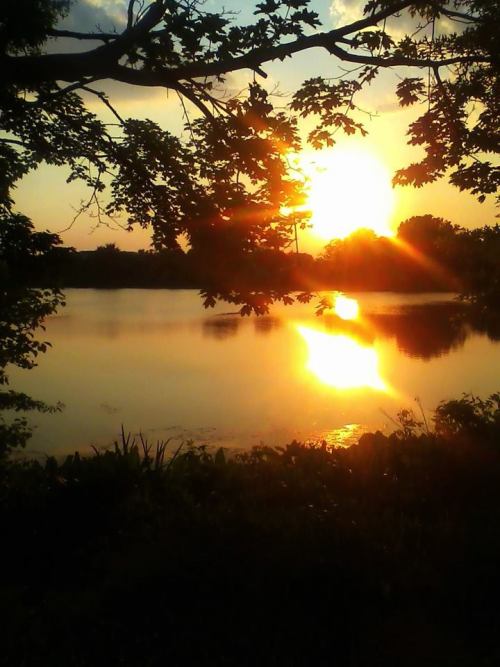 changingglater:  Photographs taken at a lake in Oaklyn, New Jersey.  Model: Chelsea Francis Rettberg (my sister)