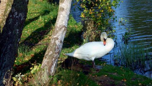 Ablutions.