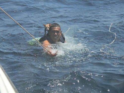 the-davest-of-uncles:rockyp77mk2:nunyabizni:catsbeaversandducks:Thai Navy Officer Jumps Into Water A