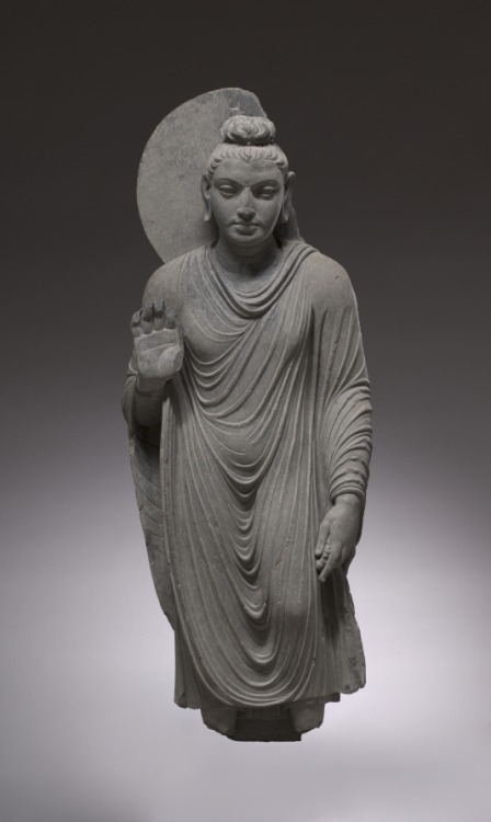 ancientpeoples: Standing Shakyamuni, 150-200 AD Pakistan, probably Takht-i-Bahi, Gandhara style Schi