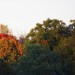 thingssthatmakemewet:Shot some of my favorite fall foliage photos to date and I can&rsquo;t