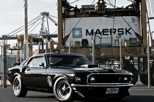 Muscle Cars Fans