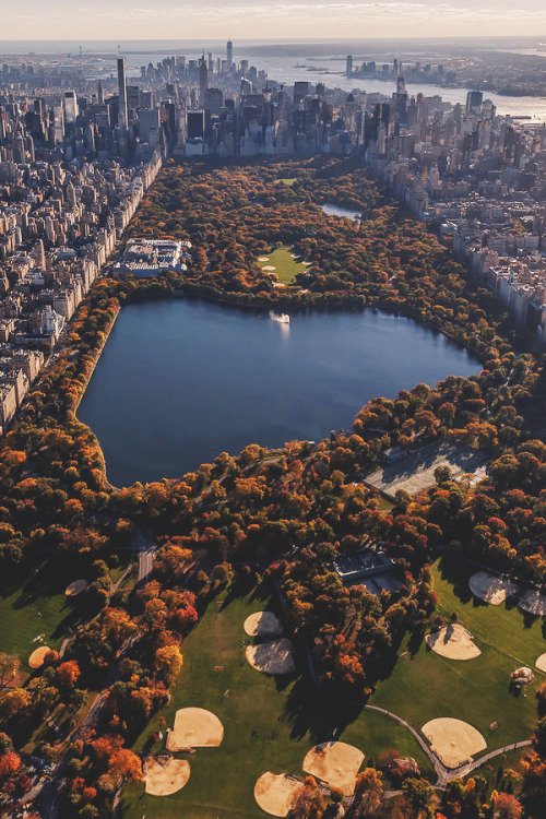 Porn photo banshy:  Central Park // Anthony Fields 