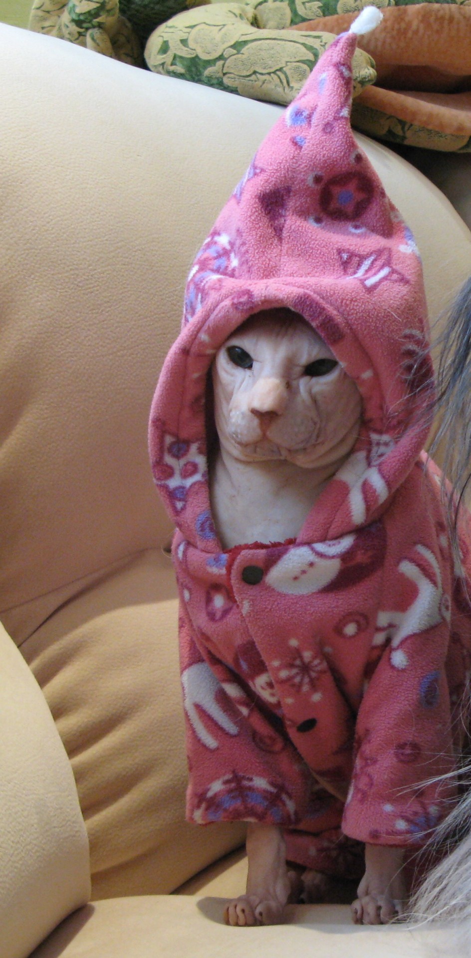 traversefamilypicnic:  mostlycatsmostly:  (via duhov-m)  isnt this die antwoord 