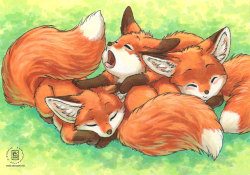 sfwfurry:  Foxlets by Kacey