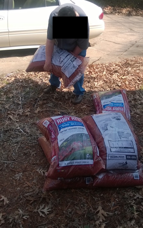 stupidfuckingpig:  I was honored to bring 10 bags of mulch to Goddess Elizabeth’s house today.  I stacked it neatly in a pile and thanked her for the opportunity.  She and her lover should  never have to lift a finger.  I give new meaning to the