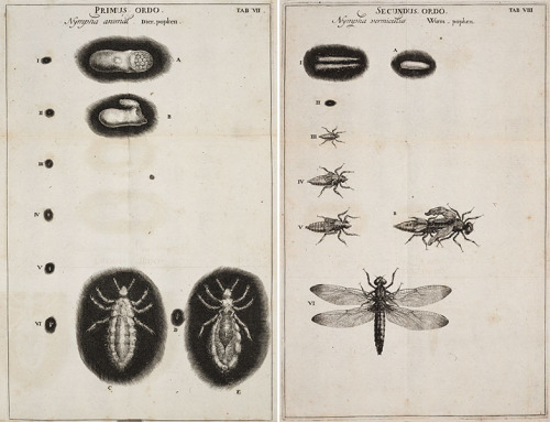 Jan Swammerdam –Scientist of the DayJan Swammerdam, aDutch microscopist and insect anatomist, was bo