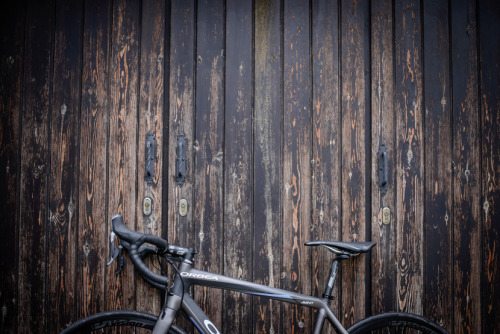 thecyclinglife:  Orbea