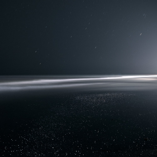 nevver:Lost horizon, Mehran Naghshbandi
