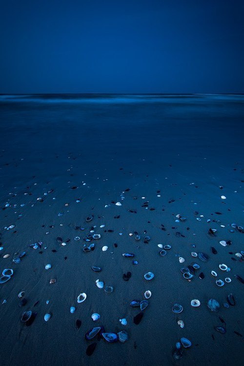 wonderful-life-moments:   