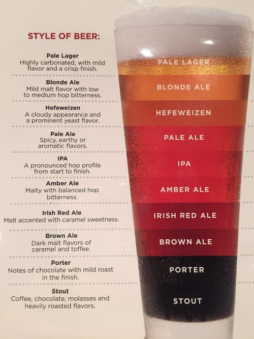 Know your beer. Enjoy your beer.
