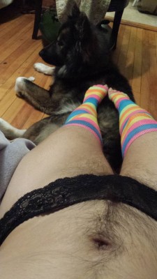 hairywomenrock:  Soo HOT!     Tis could be both the appetizer and the entre.