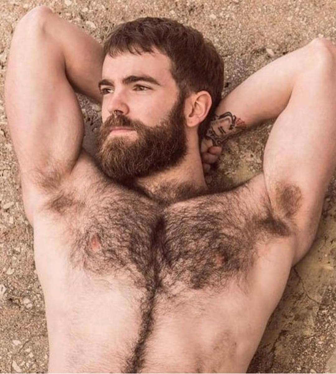 furrypty: