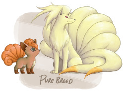 derangedbones:  VULPIX AND NINETAILS CROSSBREEDS/ VARIANTS/ WHATEVER ITS CALLEDThese were fun to do. My, what the mind will think of when procrastinating.Breed Characteristics: Keep reading 