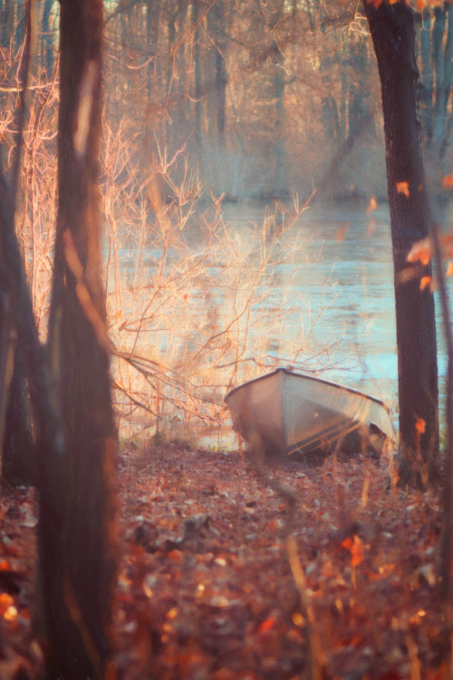 leavesandpumpkins:  Want more autumn beauty on your dash? Follow leavesandpumpkins