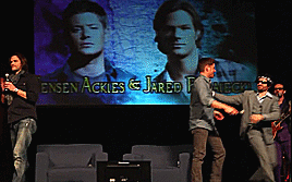 spnjensenlove02:    Jensen Ackles Meme: Relationships (2/4) Jensen Ackles and Rob