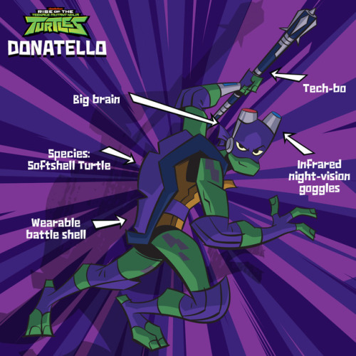 tmnt:  Get to know these dudes.