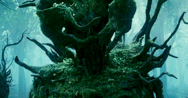 maleficent2014: Some of the inhabitants of the Moors