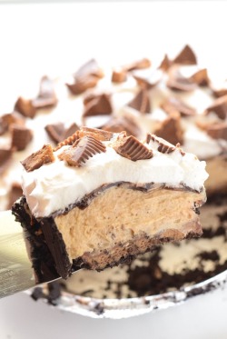 ilovedessert:  Reese’s Peanut Butter No-Bake Pie 