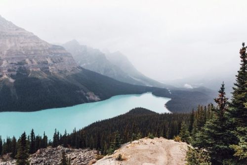 Porn photo wolverxne:  Canadian Rockies | by: { Griffen