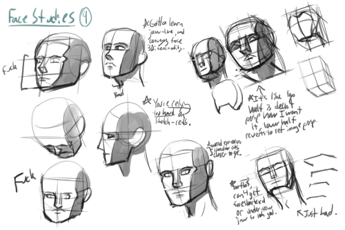 Wednesday UpdateSome face studies from back around the same time I did those wing studies. I’d thoug