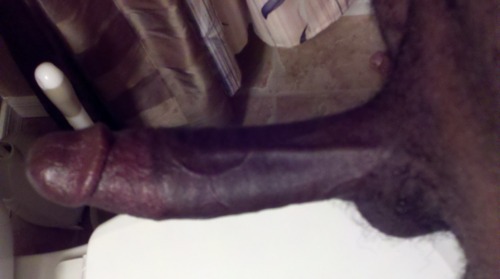 blackdickismyfavorite:  I follow back. 