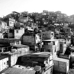 Favela querida 