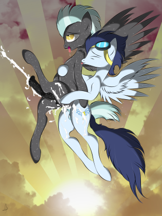 Clop dump