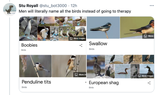 pterygota:thegunlady:  bird twitter is lighting up   my mom said her sister would insult people by calling them bird names such as “yellow-bellied sapsucker” and “red-headed woodpecker” (last one reserved for people with red hair)