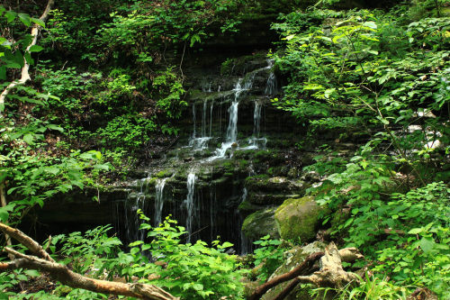 Mossy Falls - Lost Valley, Northwest Arkansas by Dan Davis