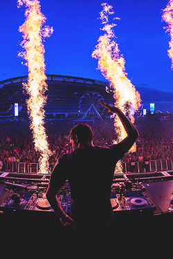 worldfam0us:  Martin Garrix @ EDCNY 2014 | WF