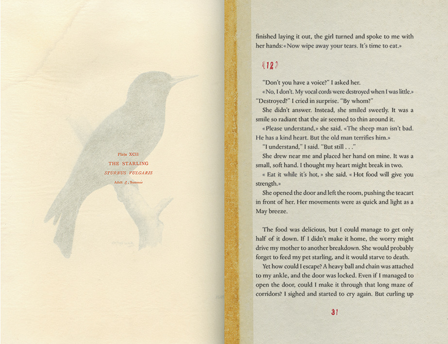 vintagebooksdesign:    THE STRANGE LIBRARY - Haruki Murakami  ‘All I did was go