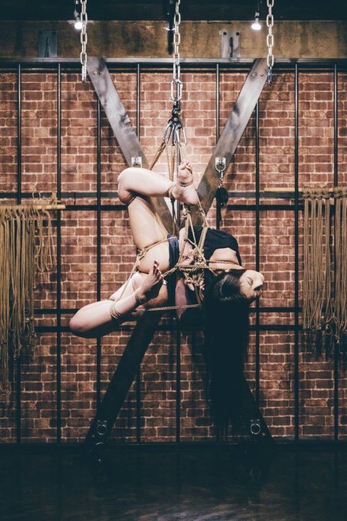 thevertigonetwork:Kinbaku Ren YagamiModel Hana Kano