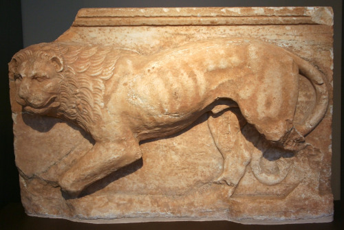 worldhistoryfacts: Sculpture of a Balkan Lion, a subspecies that lived in ancient times, hunted to e