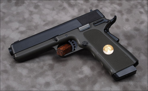 gunrunnerhell:  Alchemy Arms Spectre If a Glock and 1911 were to get into a fight then have make-up sex, the love child born from that tryst would be the Alchemy Arms Spectre. The pistol, which was chambered in .45 ACP or .40 S&W is based on the