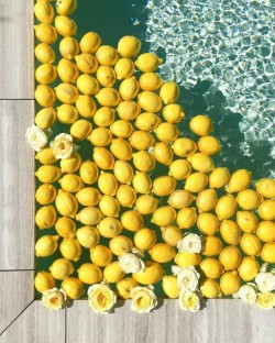 whatthefuckeryarewe:lemon pool ✨