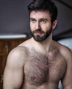 cuddlyuk-gay:    I generally reblog pics of guys with varying degrees of hair, if you want to check out some of the others, go to: http://cuddlyuk-gay.tumblr.com  