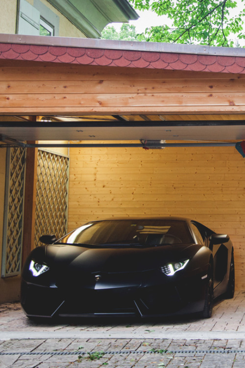 Luxury Buzz